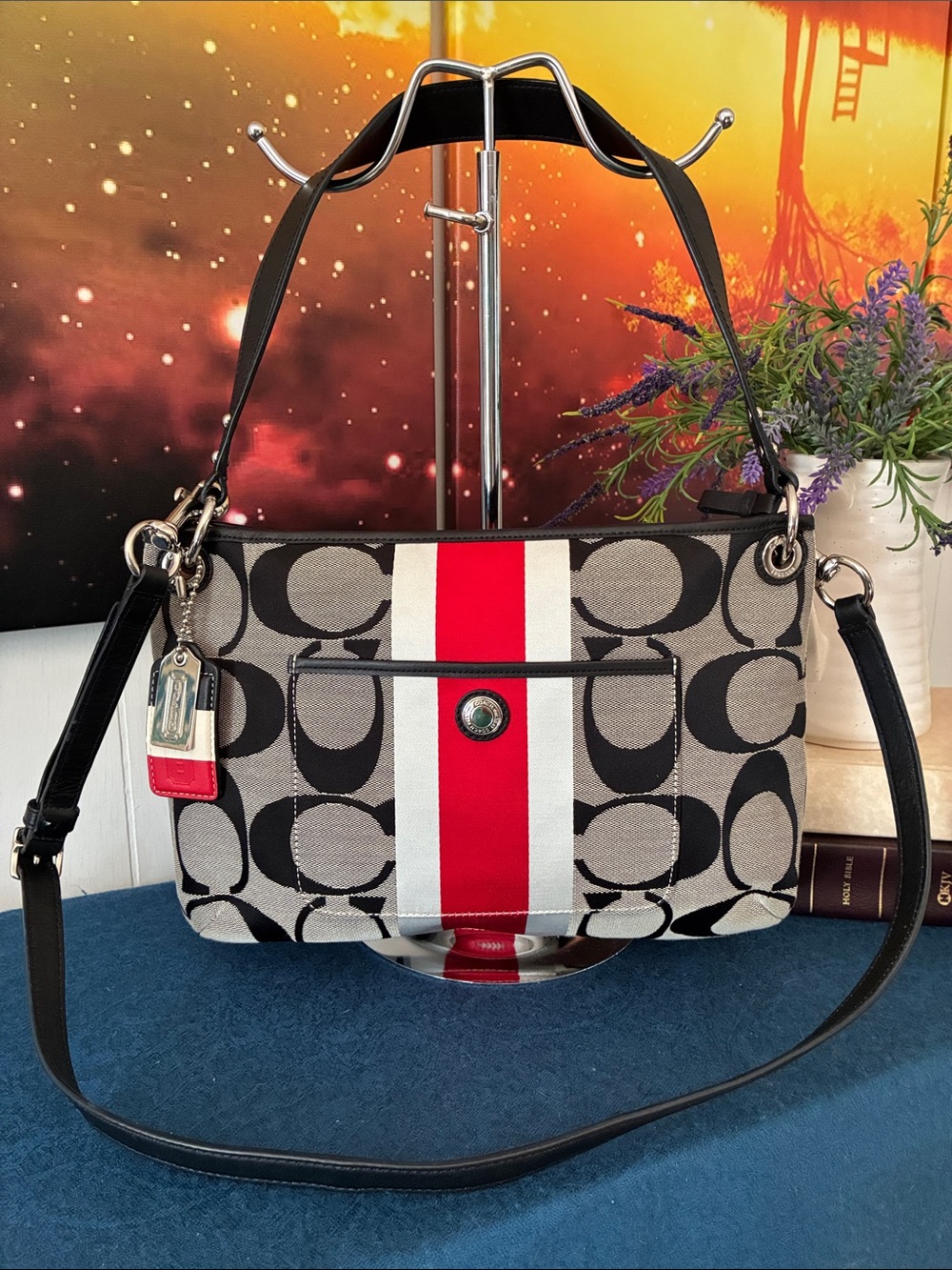 Coach Hampton Weekend Signature Stripe Tote